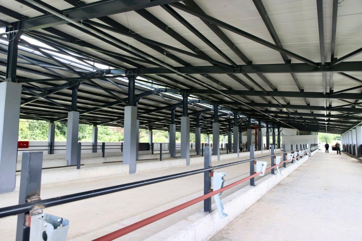 FATSA’DA DAMIZLIK DÜVE YETİŞTİRME MERKEZİ TAMAMLANDI