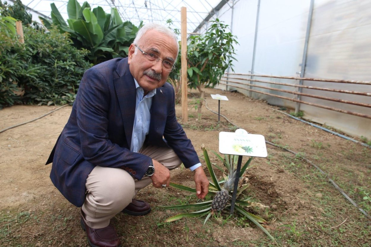 TROPİKAL MEYVELER KARADENİZ’İ SEVDİ