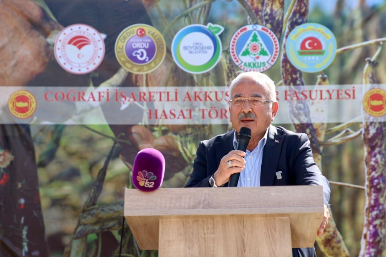 TÜRKİYE’NİN LEZZETİ AKKUŞ ŞEKER FASULYESİNİN HASADI BAŞLADI