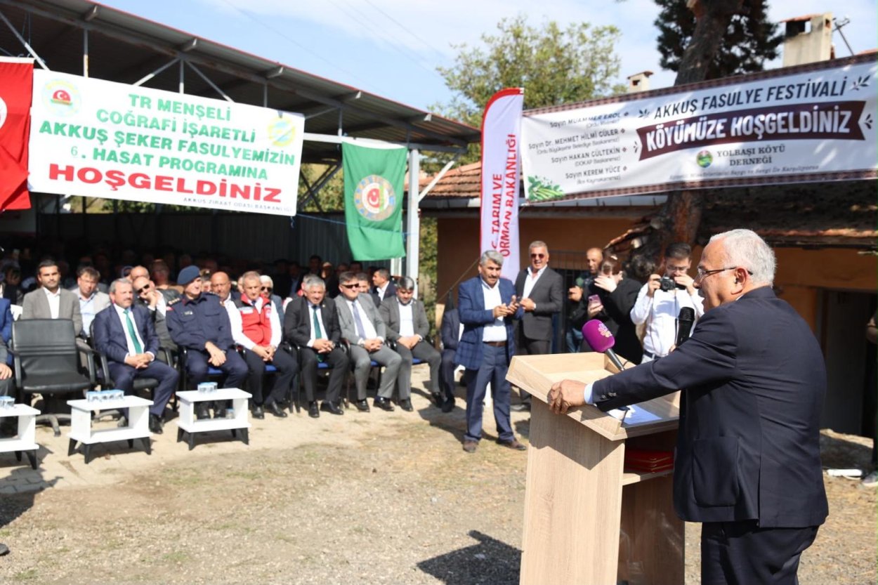 TÜRKİYE’NİN LEZZETİ AKKUŞ ŞEKER FASULYESİNİN HASADI BAŞLADI